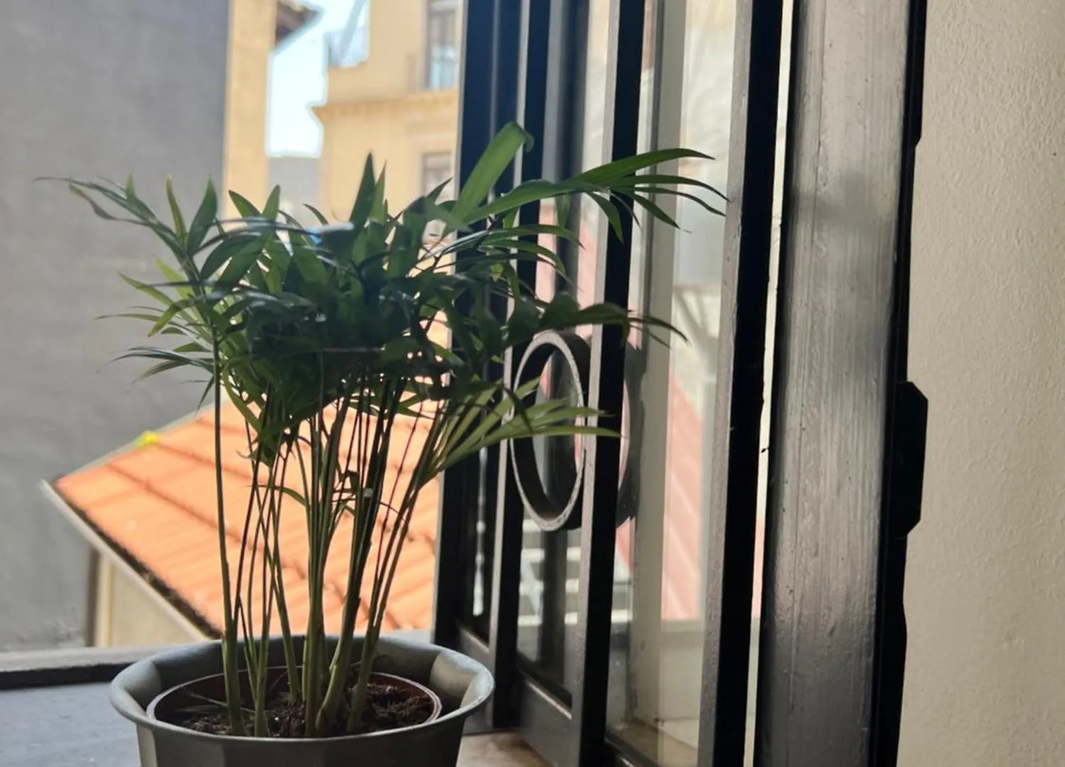 Holiday home Barcaioli'S Home Catania